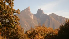 10 bosques mexicanos donde el otoño es más intenso que en Europa: elige tu ruta hoy